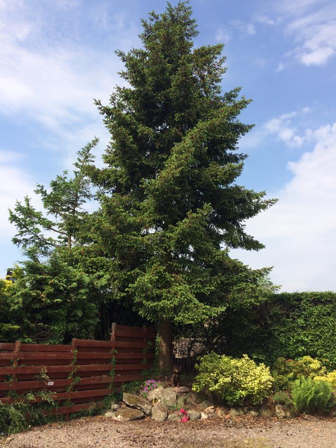 Firtree Bed And Breakfast At Galvelbeg House Crieff Luaran gambar